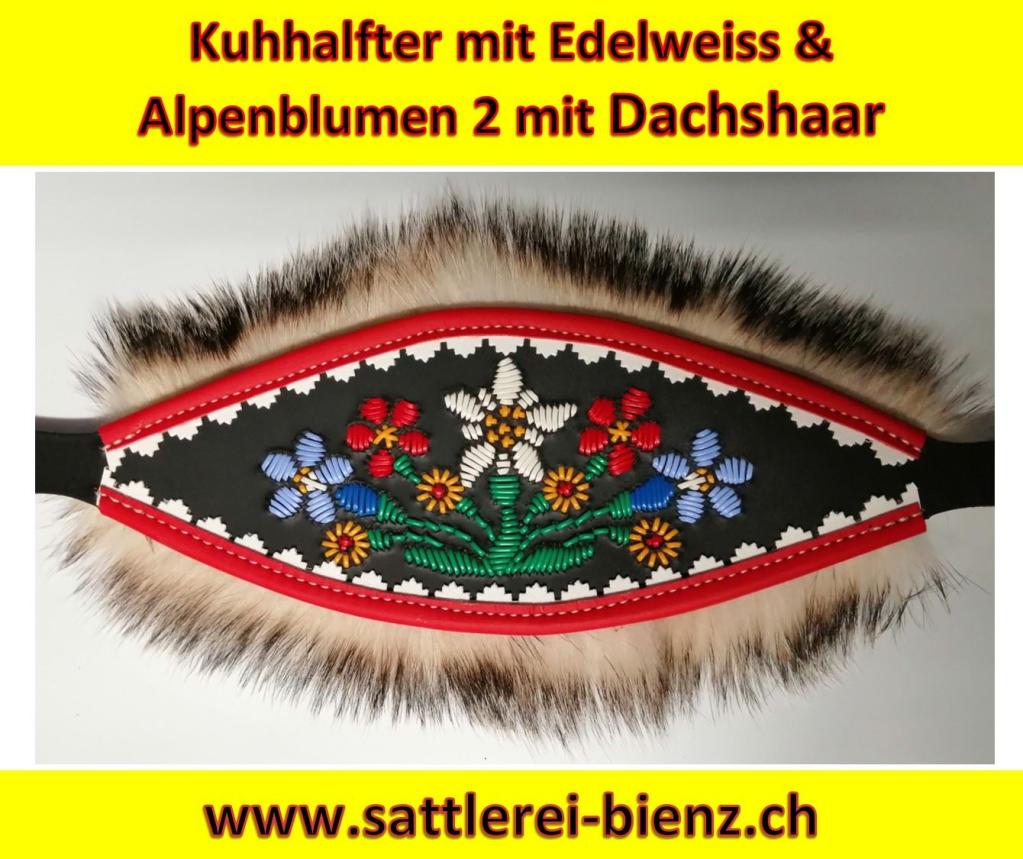 Kuhhalfter Edelweiss mit Alpenblumen2 G